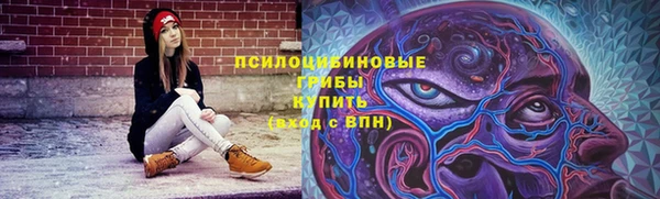 твердый Балахна