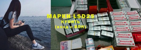 индика Новокубанск