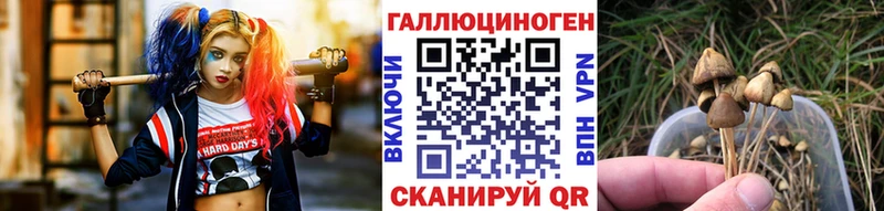 Галлюциногенные грибы ЛСД  Северо-Курильск 